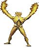 fir.gif